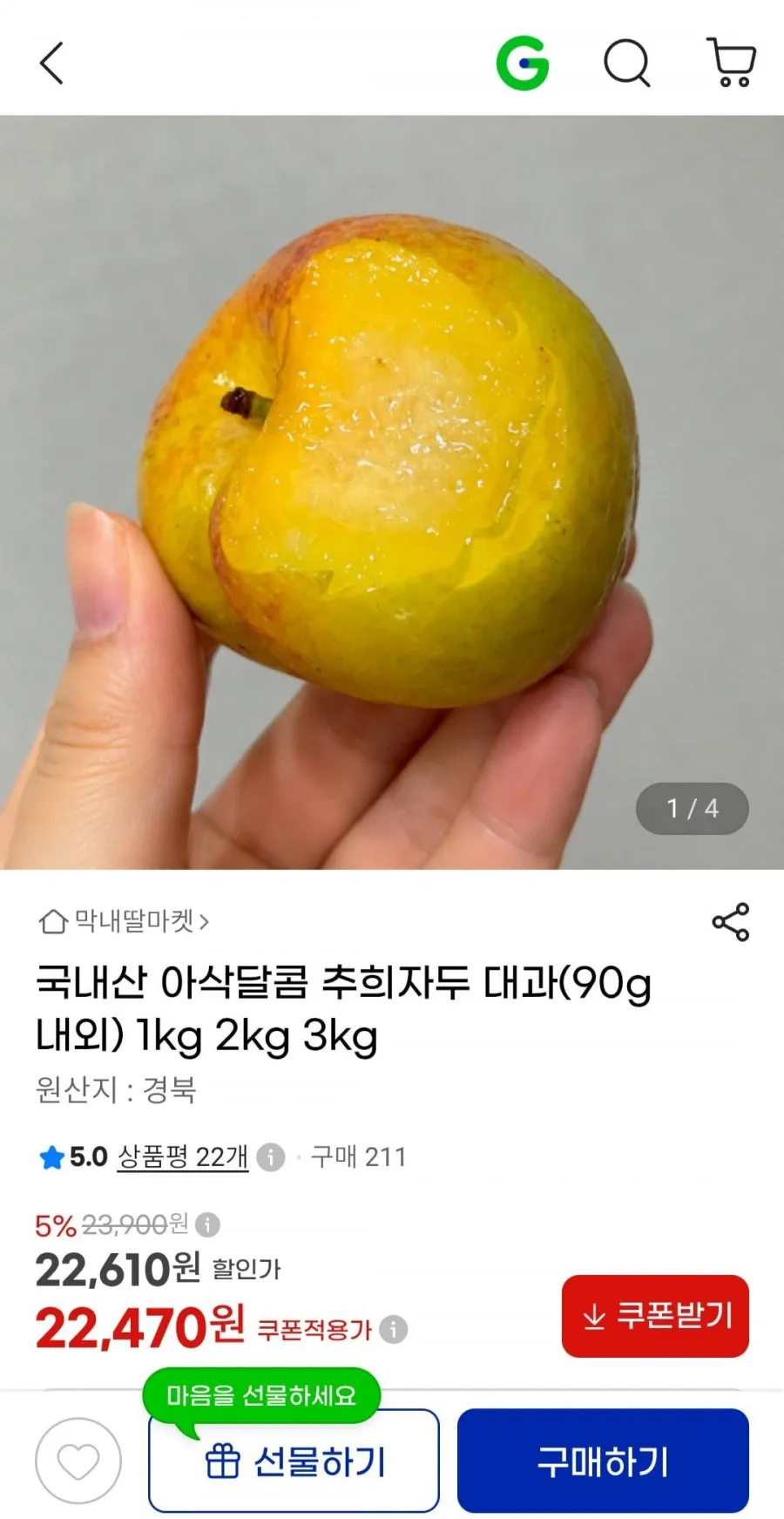 국내산 아삭달콤 추희자두 대과 90g내외 1kg