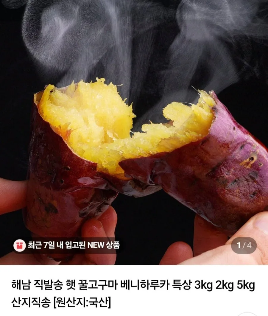 해남 햇고구마 꿀고구마 베니하루카 고구마 한입 중상 특상 튀김용 선택 3키로 5키로 5kg 10키로 10kg 선택 한박스 황금 베로니카 베니하루까 황토 해남고구마 1박스