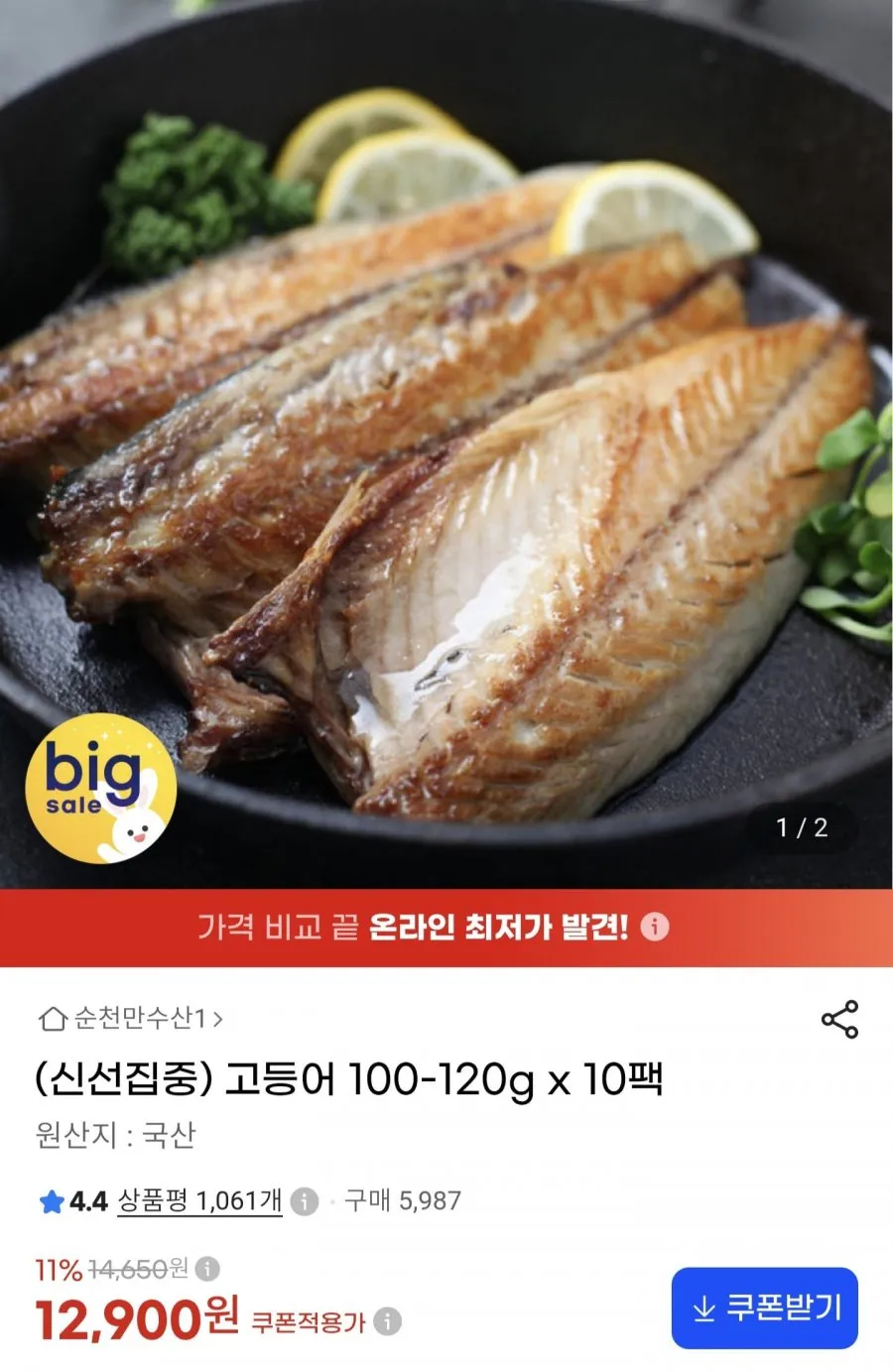 늘푸른뜰 국내산 제주연안 고등어 대 중대 중소 소 사이즈 싱싱한 밥도둑 구이 조림 찜 밥반찬용