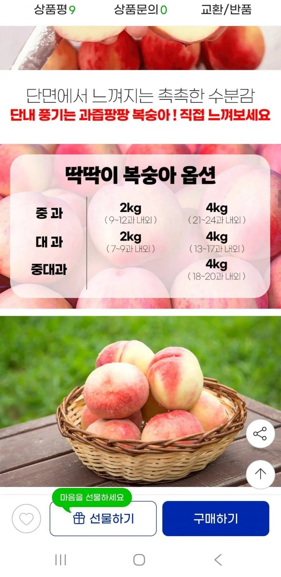 딱딱이 백도 복숭아 4KG 20과-24과