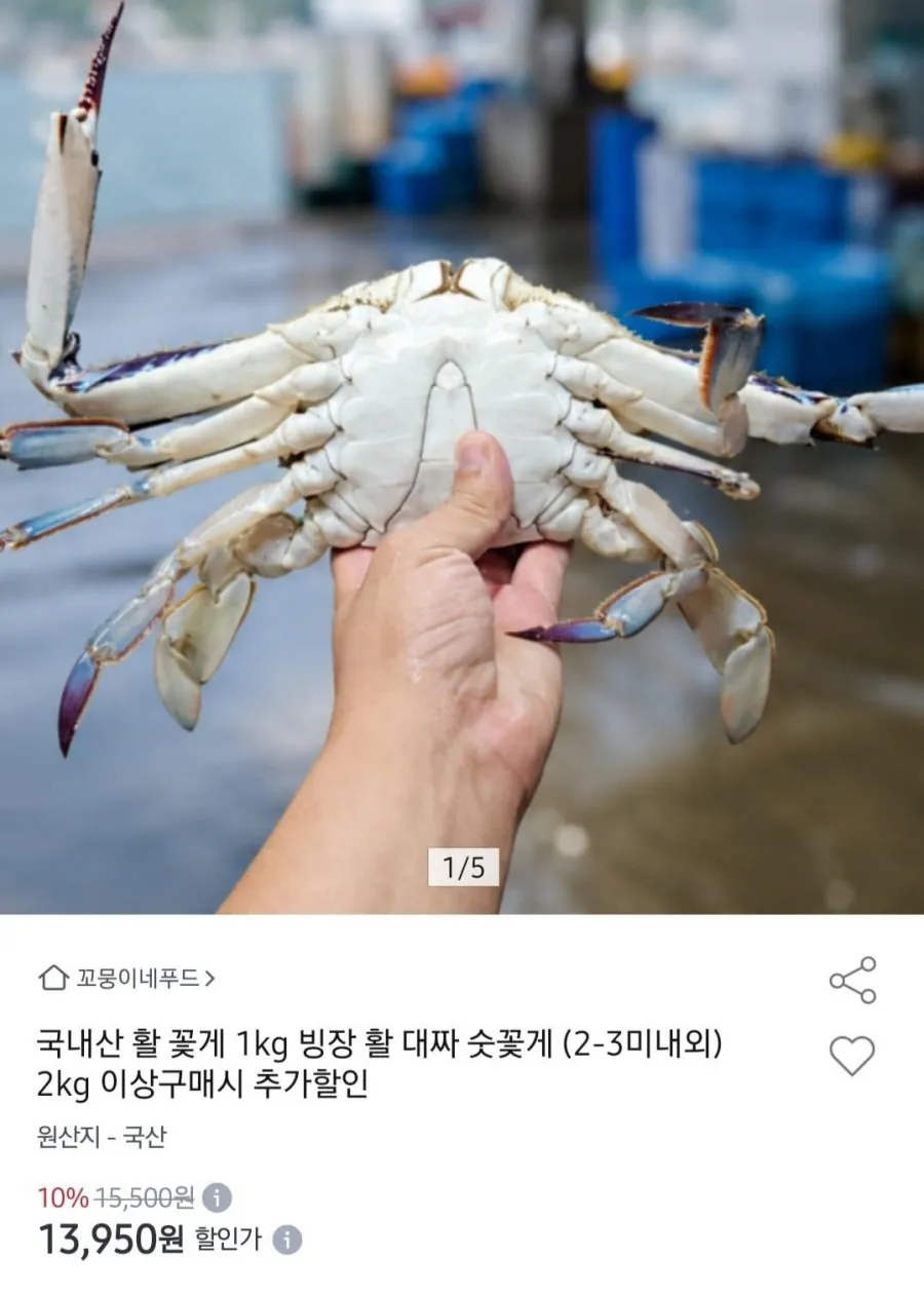 [산지직송] 제철 대짜/중짜 활 숫꽃게 1kg 활꽃게 생물꽃게 빙장