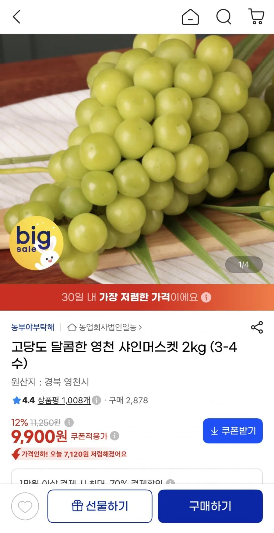 한달초특가!! 국내산 프리미엄 샤인머스켓 고당도 씨없는 포도 산지직송, 1박스, 샤인머스켓 2kg내 5수