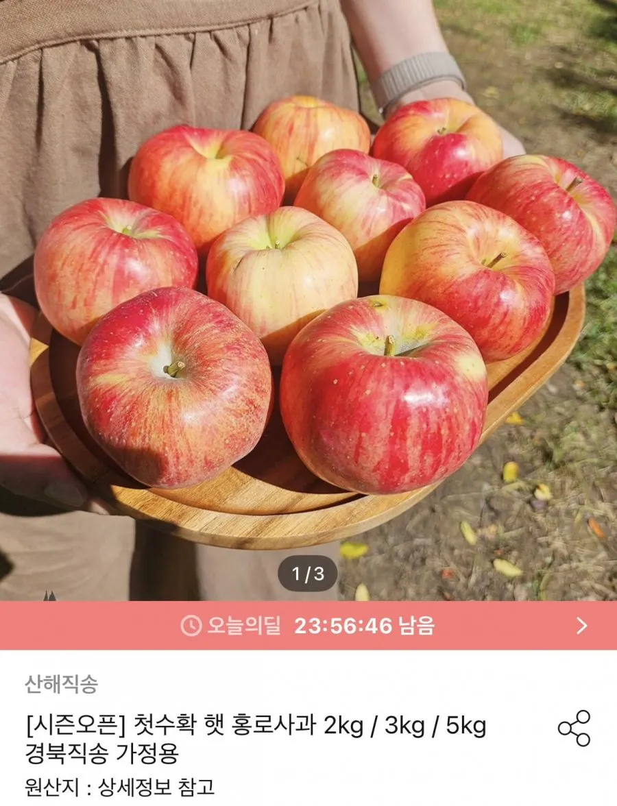 [올해첫수확] 아삭달콤 산지직송 햇 홍로사과