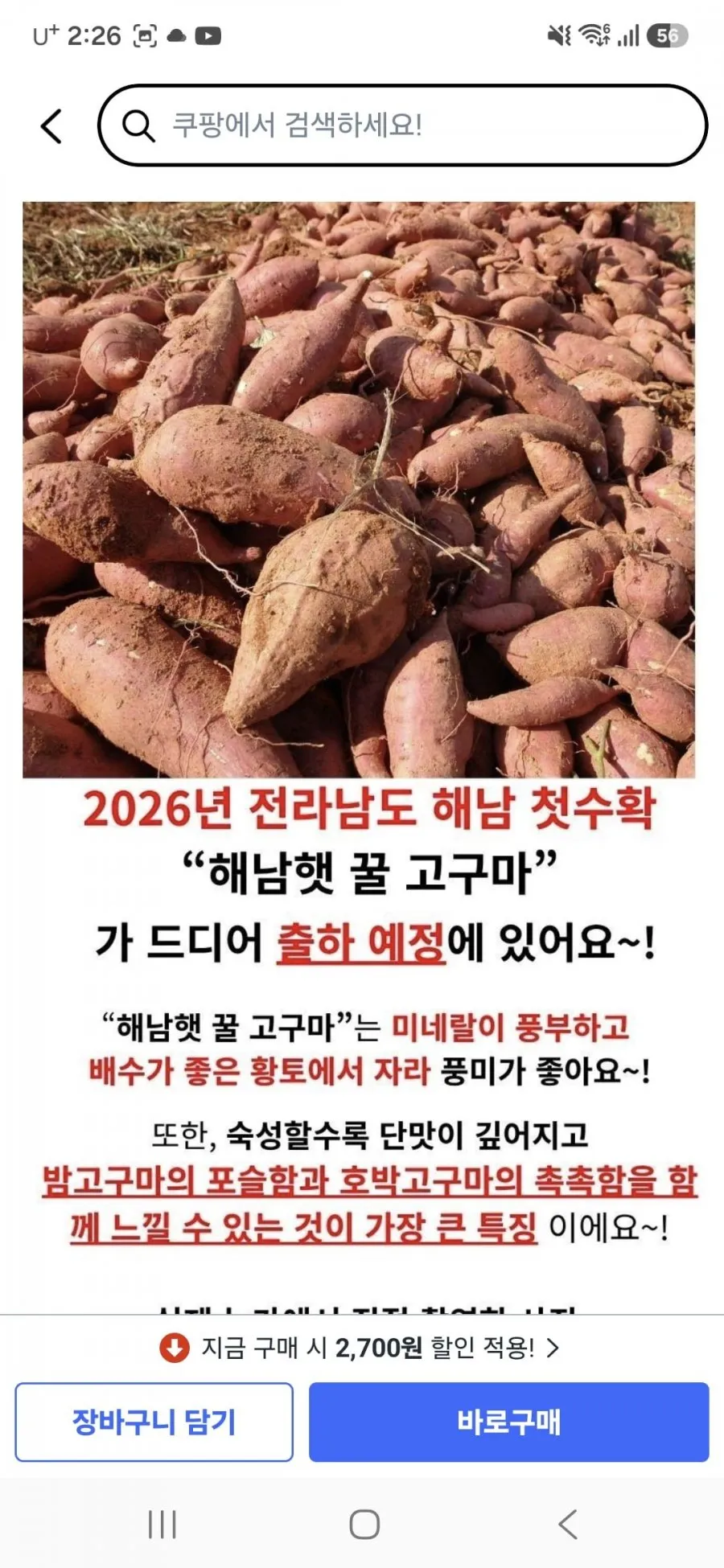 해남 꿀고구마, 3kg