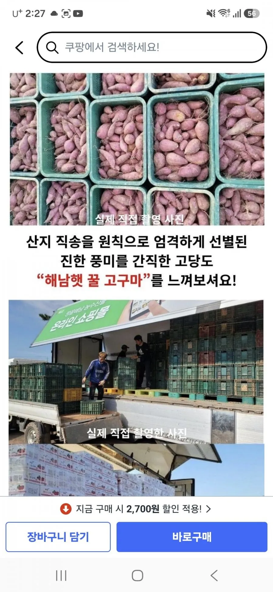 해남 꿀고구마, 3kg