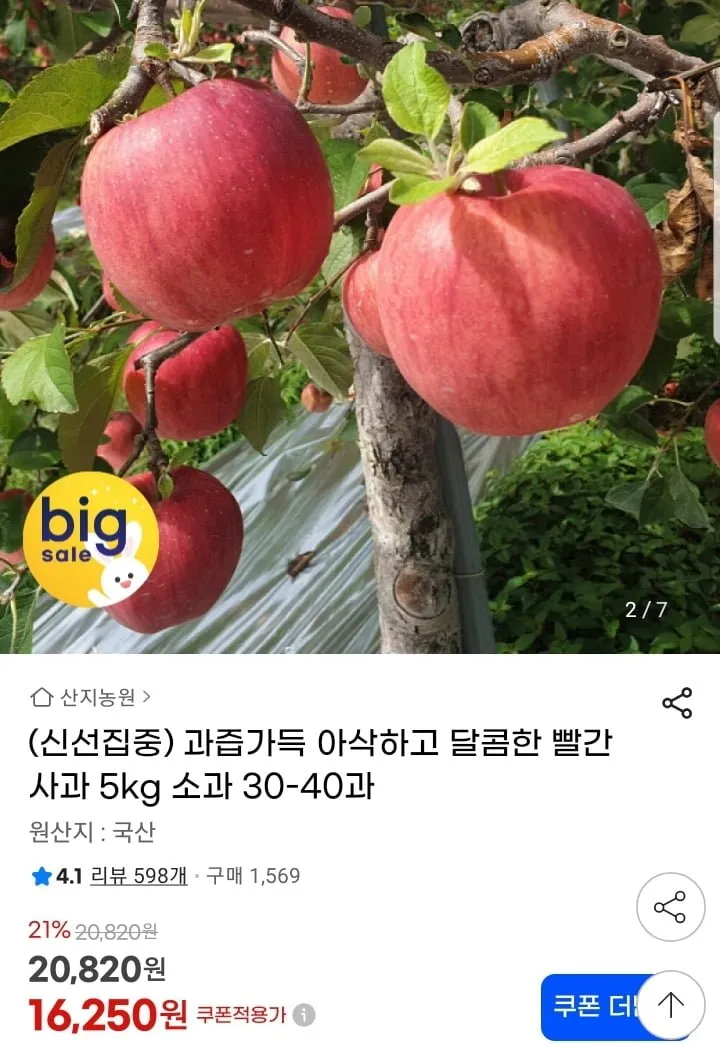 [특가할인]산지직송 아삭한 고당도 제철  홍로사과