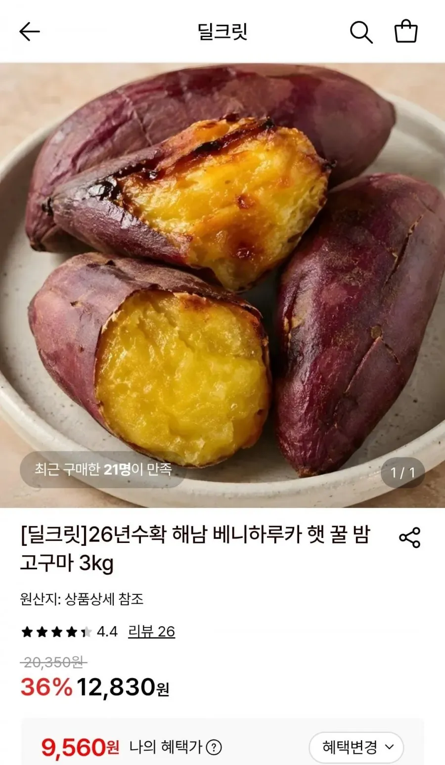 26년 첫수확 햇밤고구마 지금수확하는 진짜밤고구마