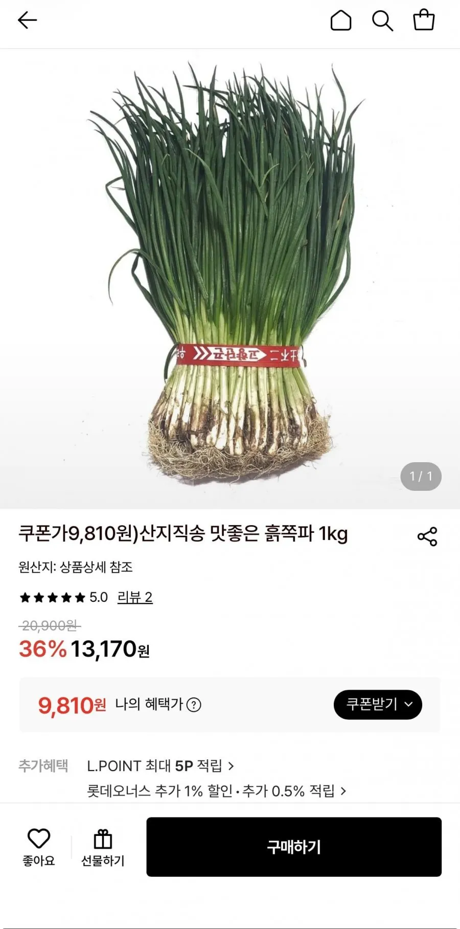 쪽파 당일생산 깐쪽파 실파 가랑파, 1개, 5kg