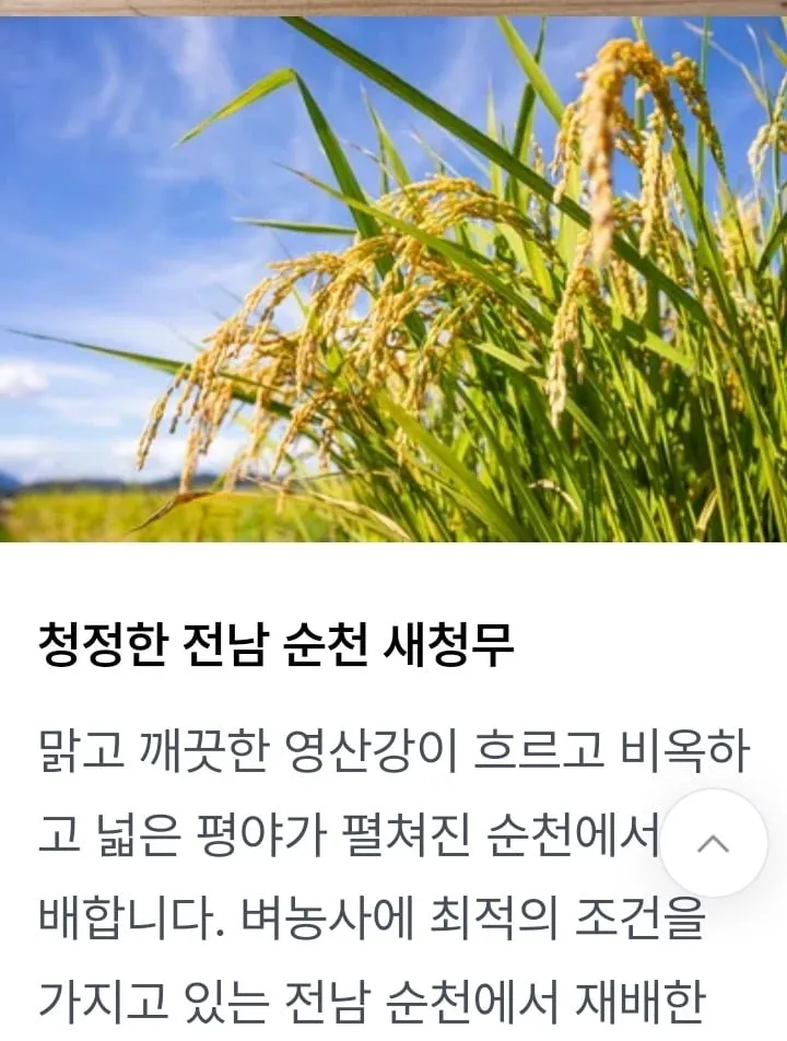 상등급 순천농협 새청무 상등급 10kg