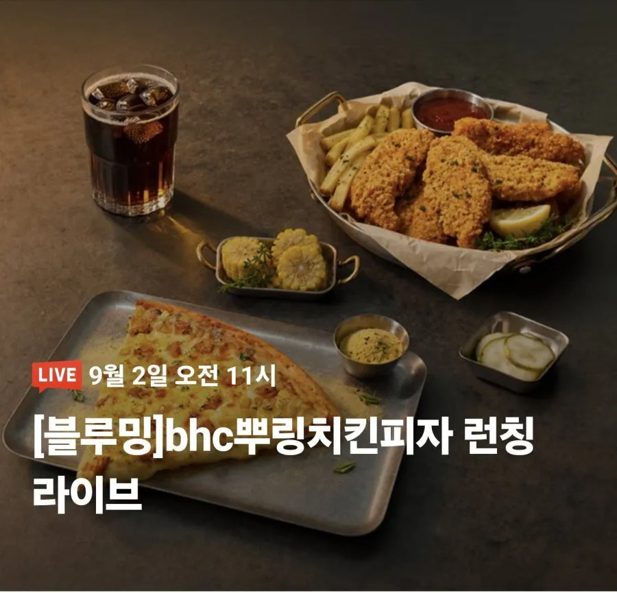 어나더소스 뿌리링 시즈닝 뿌링클 가루 양념 치킨 감자 파우더, 1개, 1kg