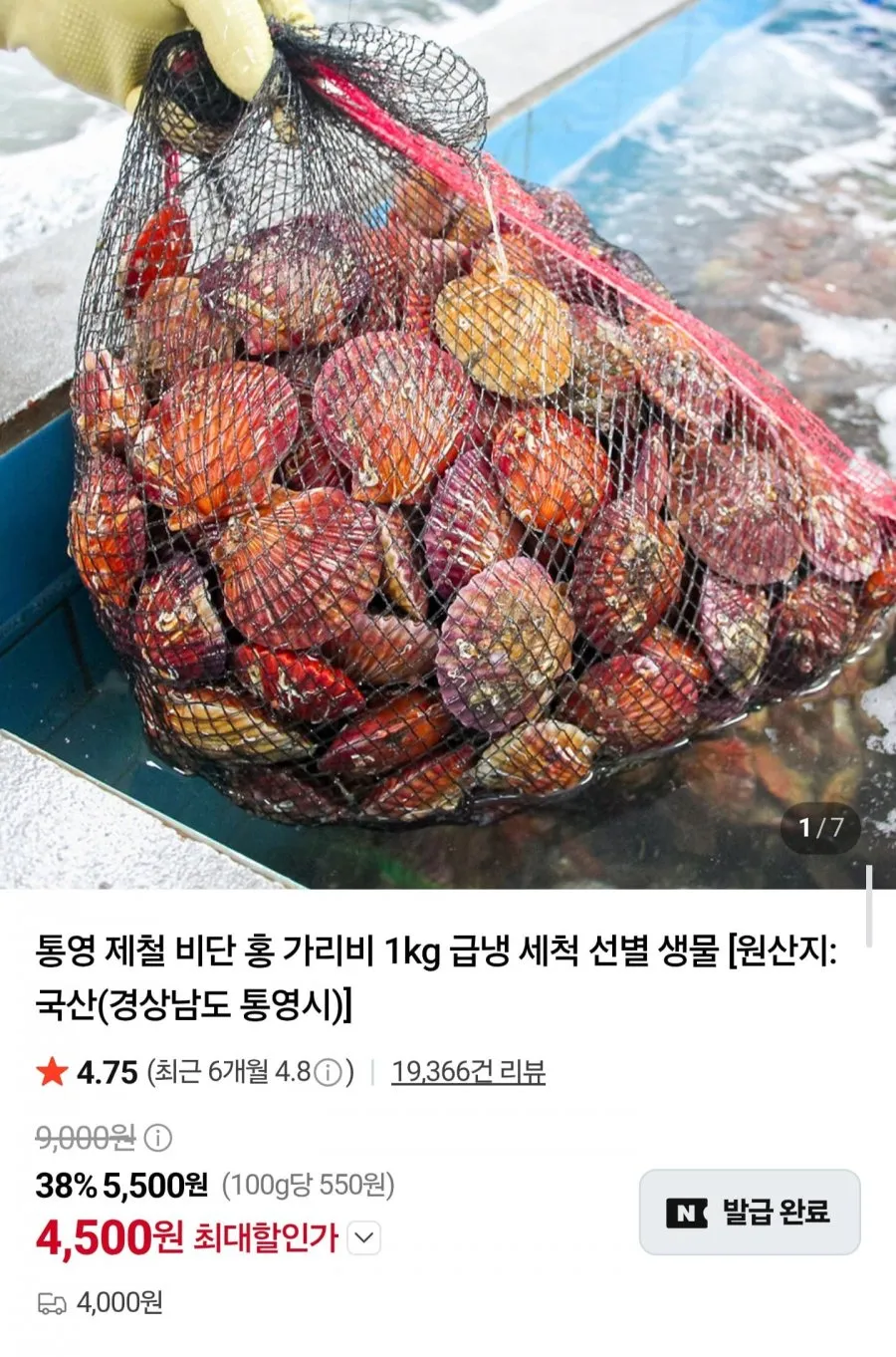 [당일조업] 통영 제철 수율좋은 세척 비단 홍 가리비, 1박스, 5kg
