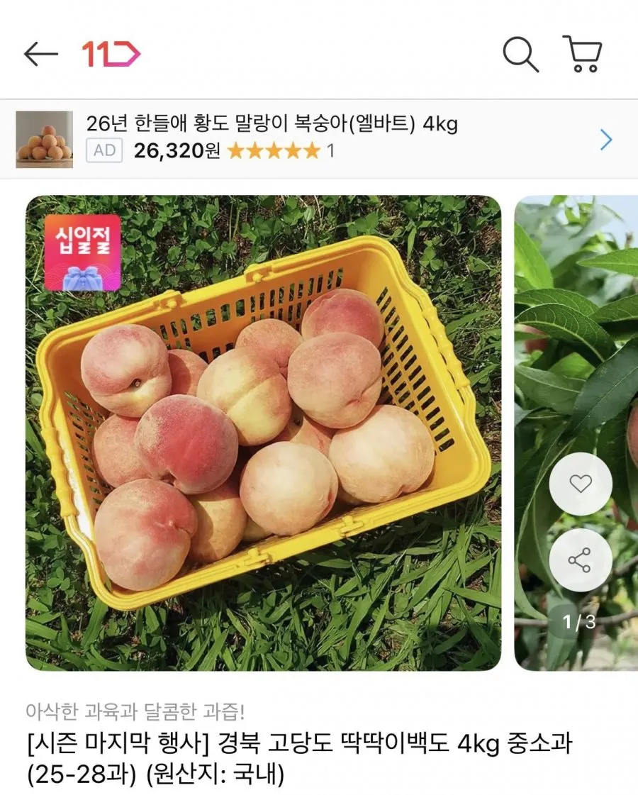경북 고당도 딱딱이백도 4kg 중소과 (25-28과)