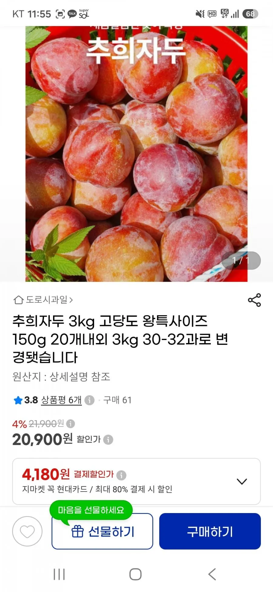 추희자두 3kg 고당도 왕특사이즈 150g 20개 내외 20,900원 / 무배