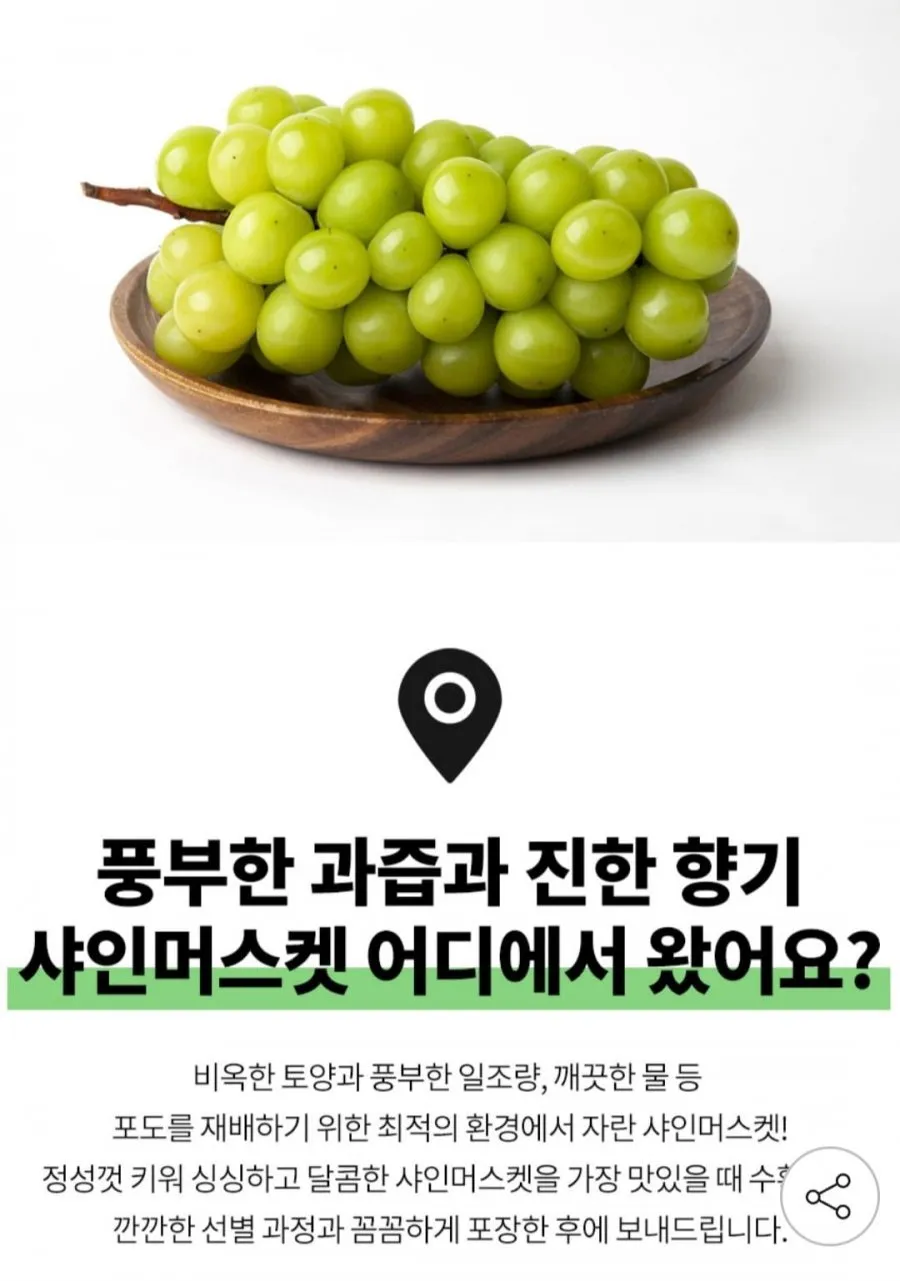 산지직송 고당도 샤인머스켓 2kg 3~4수