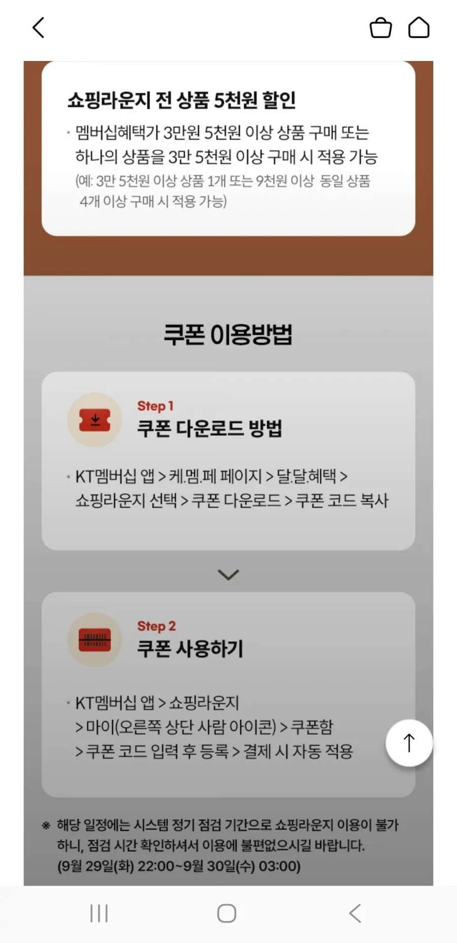 크리넥스 데코앤소프트 와이드 화장지 33MX24롤X2팩