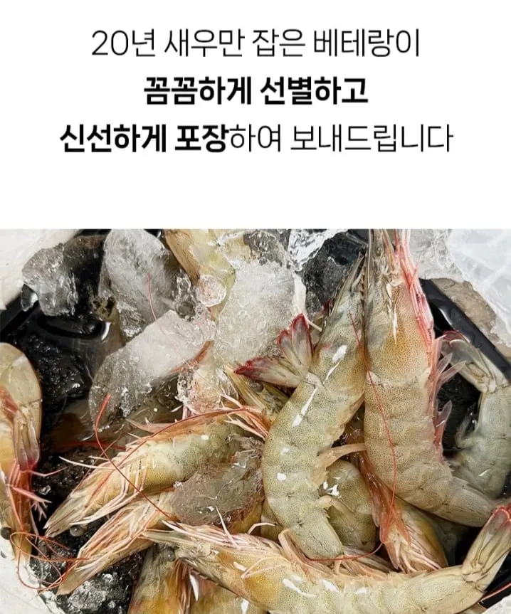 국내산 생물 흰다리 활새우 500g