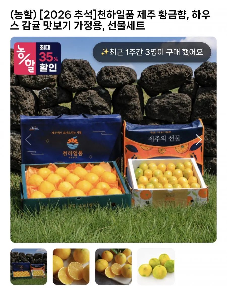 제주 황금향 추석 선물세트 특가