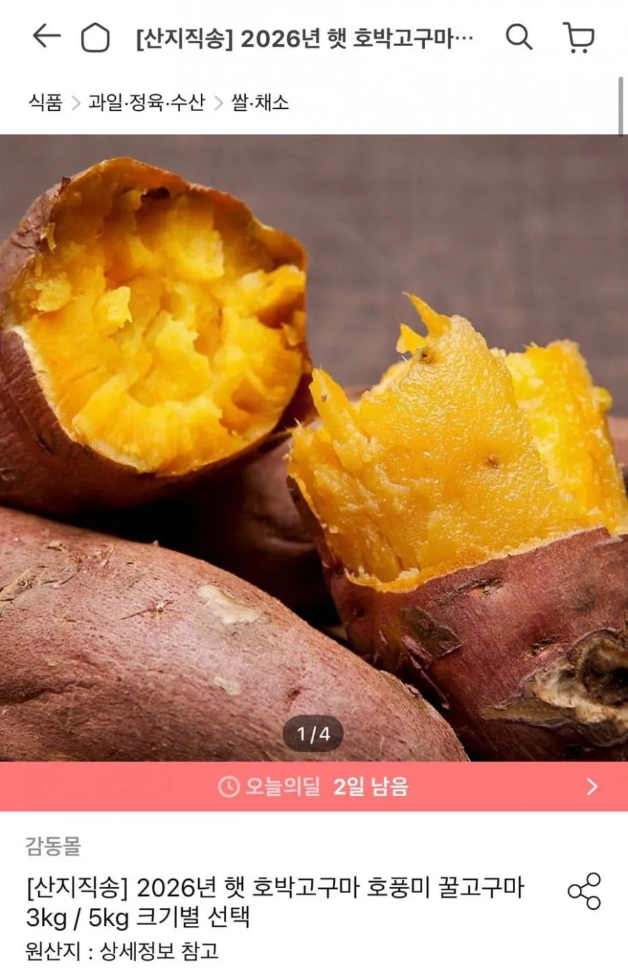 26년 햇 밤고구마) 산지직송 무안황토 햇 밤고구마 특상2kg,3kg,5kg,10kg