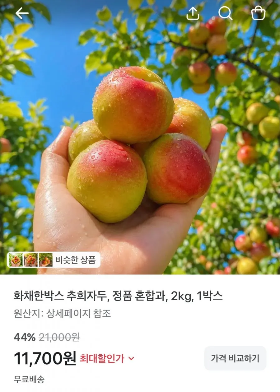 새콤달콤한 제철 대석 후무사 도담 대왕 추희자두 1kg 2kg, 1개, 1kg(소과:개당 30g이상)