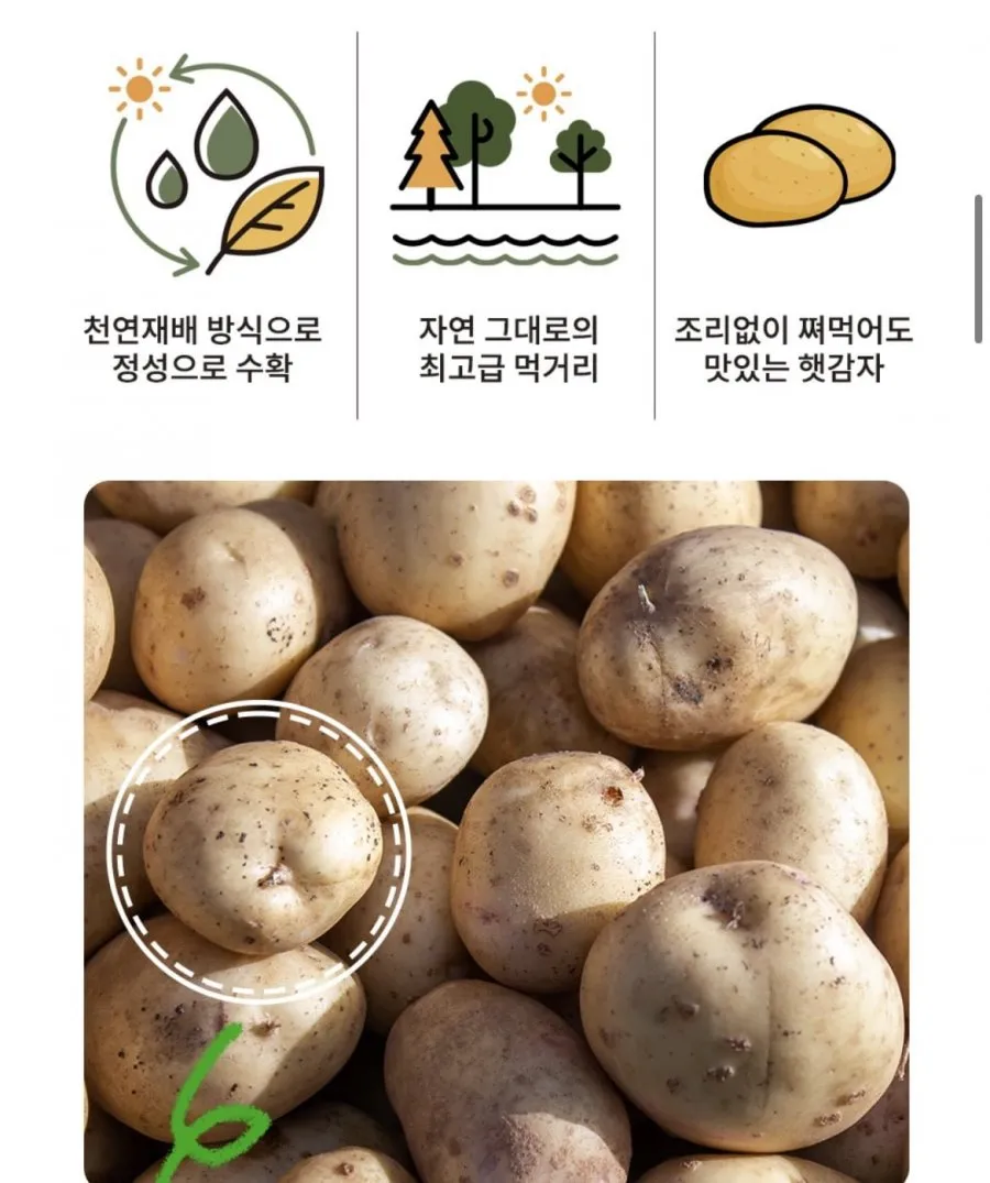 국내산 포슬포슬 햇감자 5kg