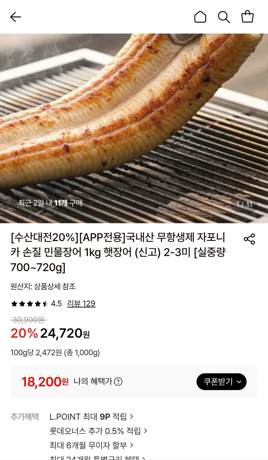 올웨이즈블루장어 고창 풍천민물장어 특대 2미 1kg 최상급 국산 자포니카 장어