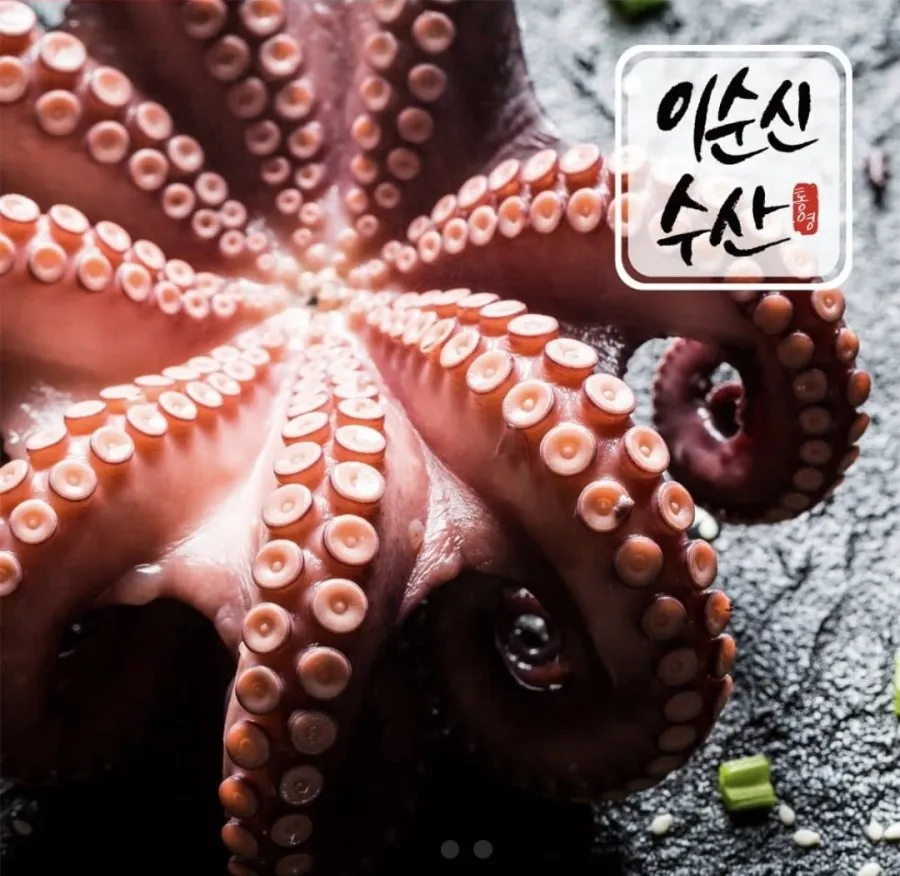 당일조업 국내산 최상급 특품 자연산 활 돌문어, 1박스, 국내산 최상급 자연산 돌문어 2kg