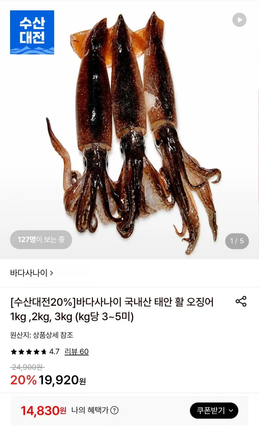 온늘상점 동해안 생물 오징어 산지직송 국내산 활 오징어, 1개, 생물 오징어 4kg