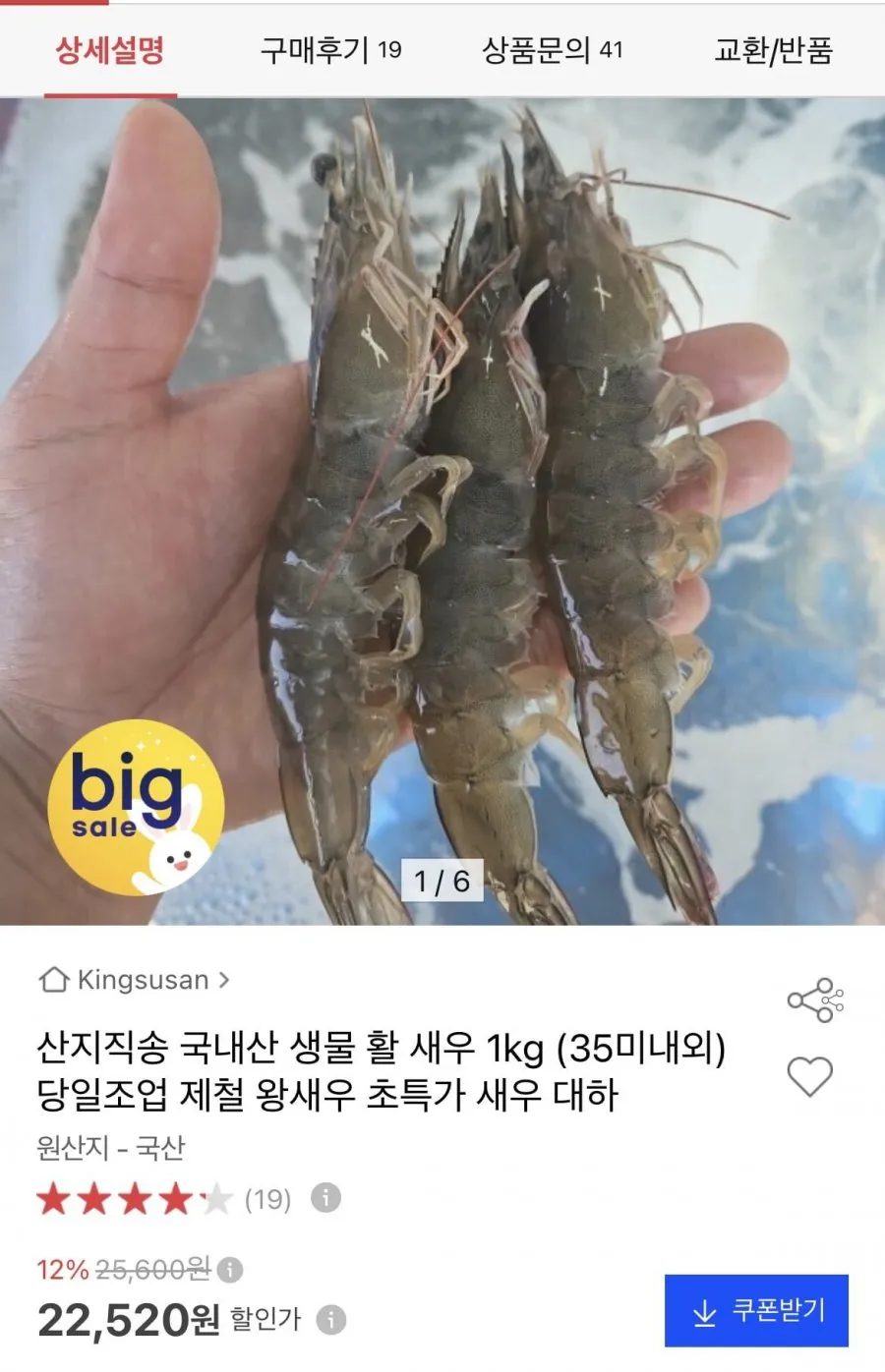 횟감용 활 흰다리새우 1kg 35미내외