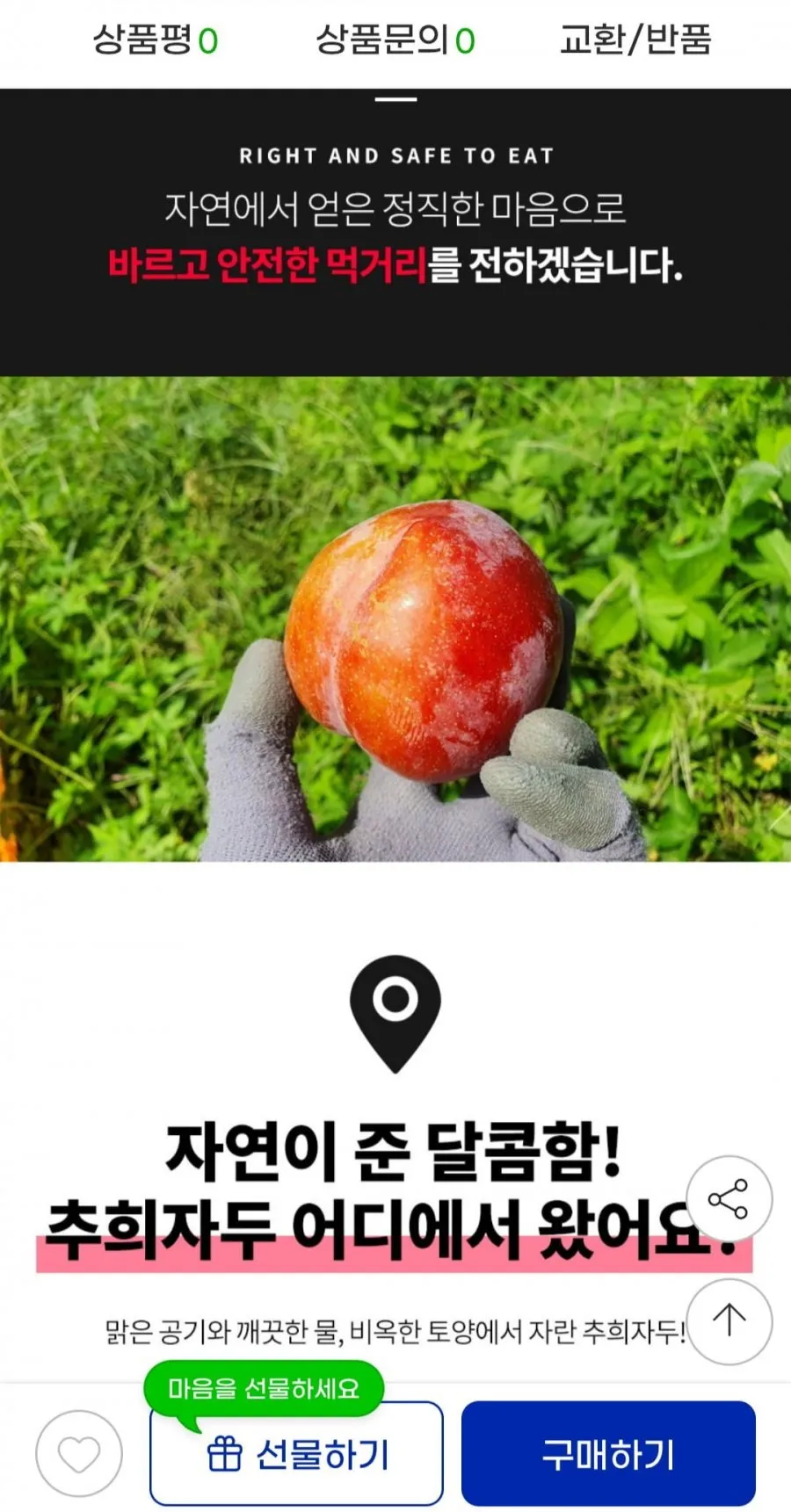 후무사 자두 고당도 프리미엄, 1박스, 2kg