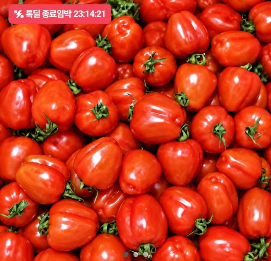 [2주특가] 고당도 루비벨토마토 미니 대추방울토마토