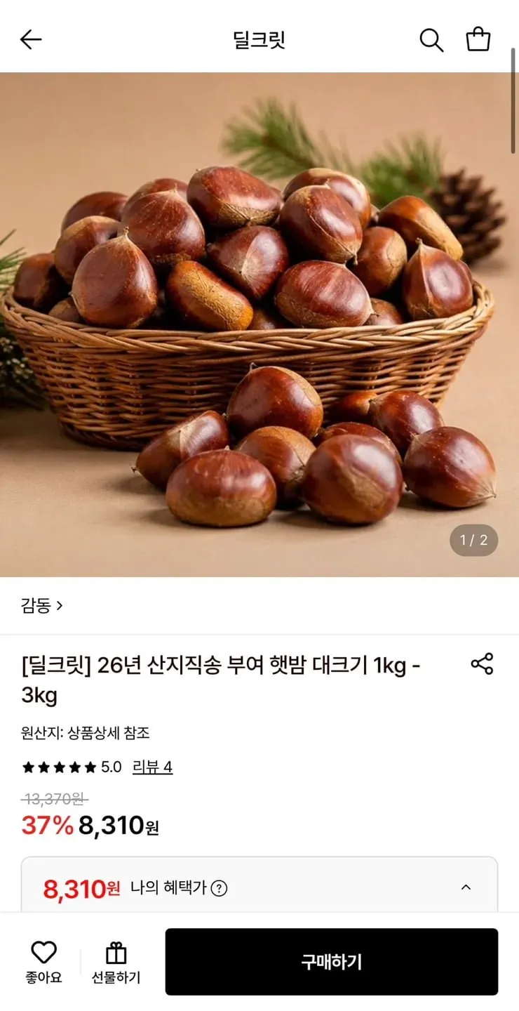 [왕특대밤] 26년 햇밤 알밤 산지직송