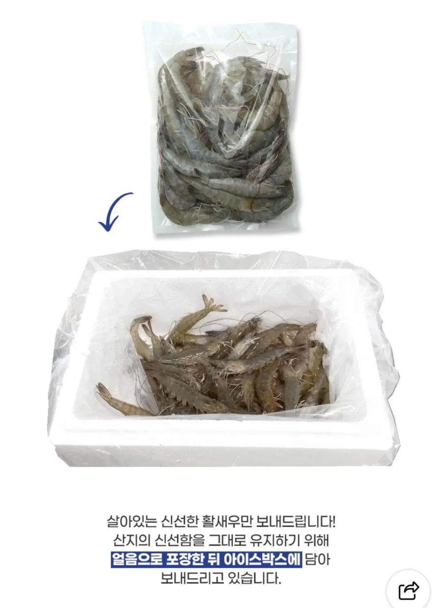국내산 흰다리새우 1kg