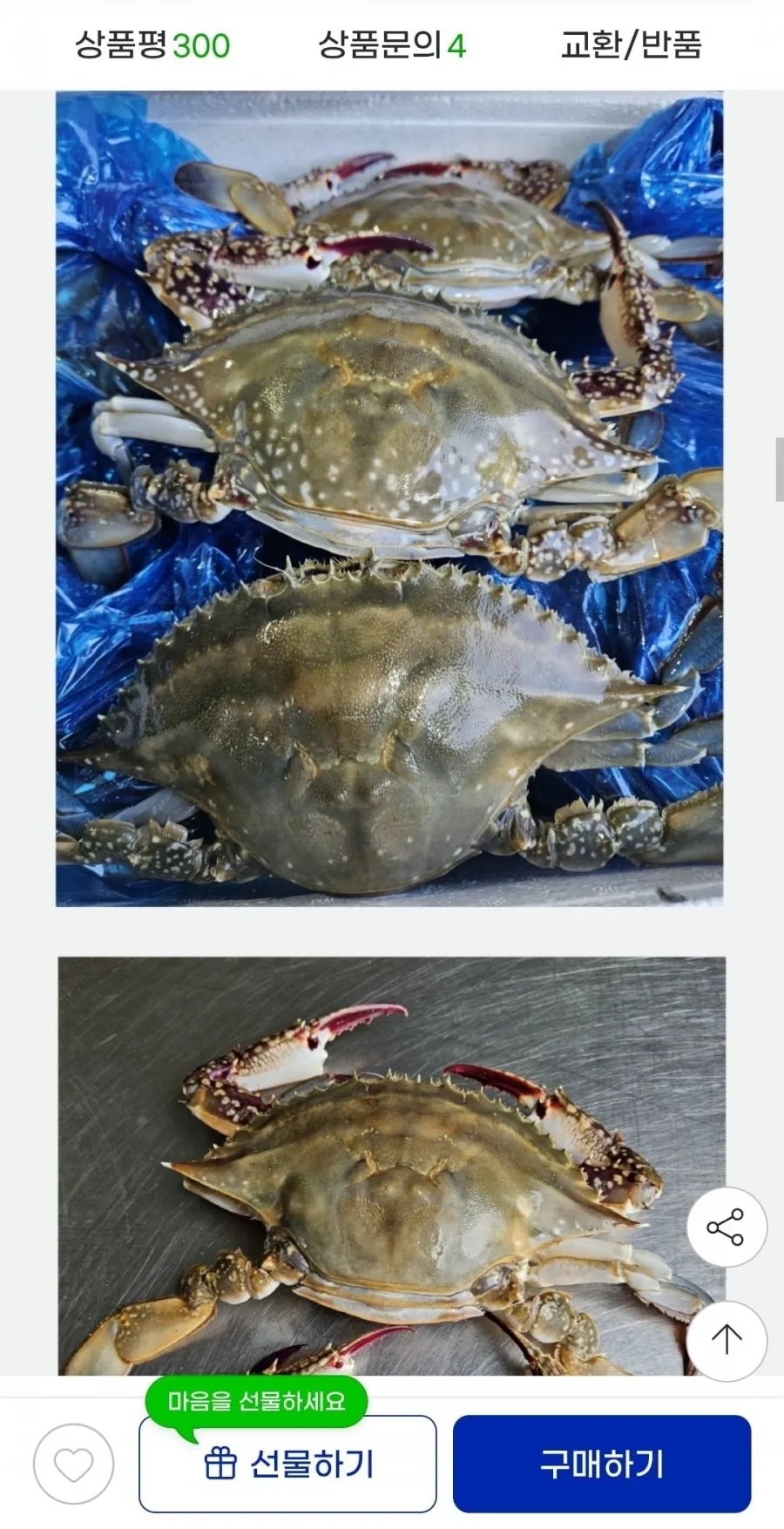 국내산 서해 활숫꽃게 2kg 6~10미