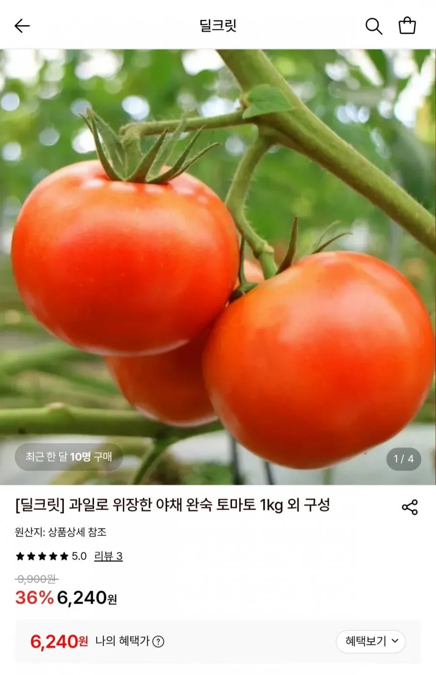 단단하고 신선한 완숙토마토 산지직송