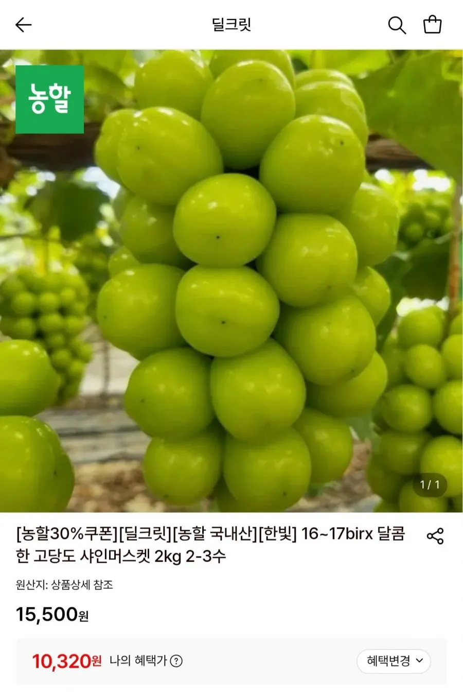 국내산 샤인머스켓 1kg (2~3수) 산지직송