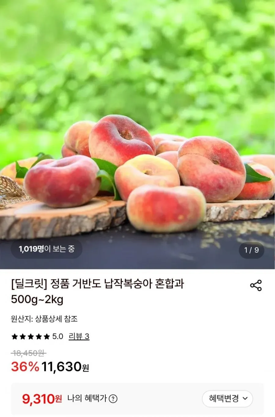 [마지막출하] 프리미엄 거반도 고당도 납작복숭아