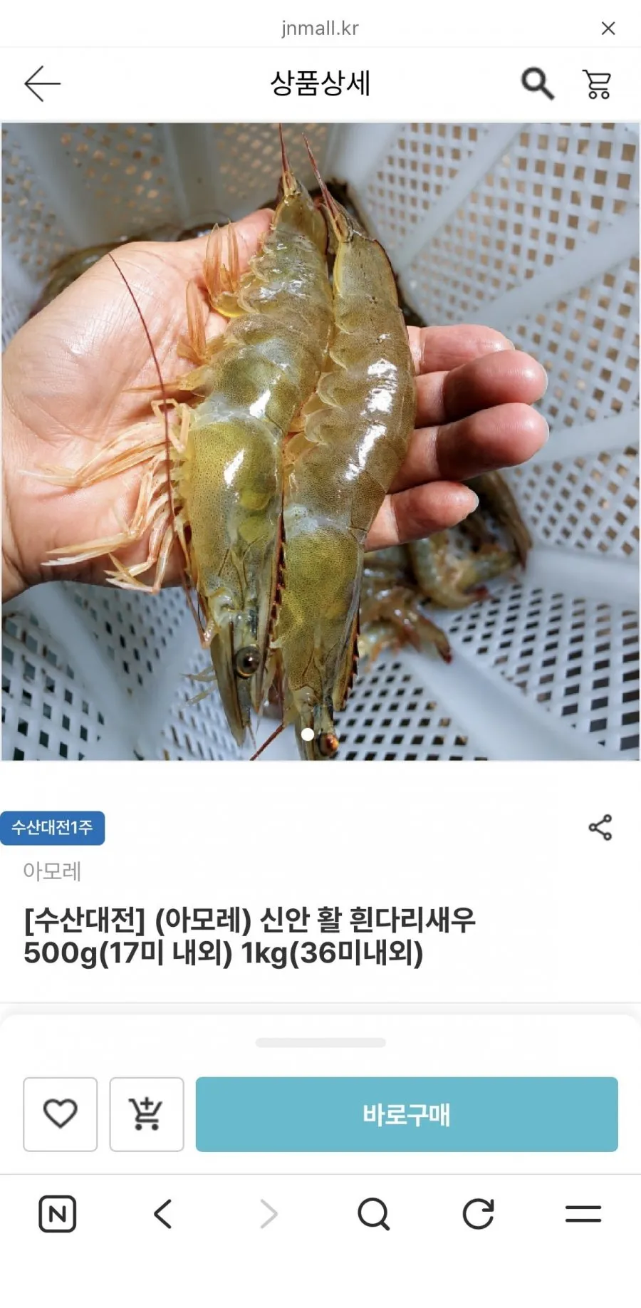 국내산 고흥 신안 활 흰다리 새우 제철 가을 생새우