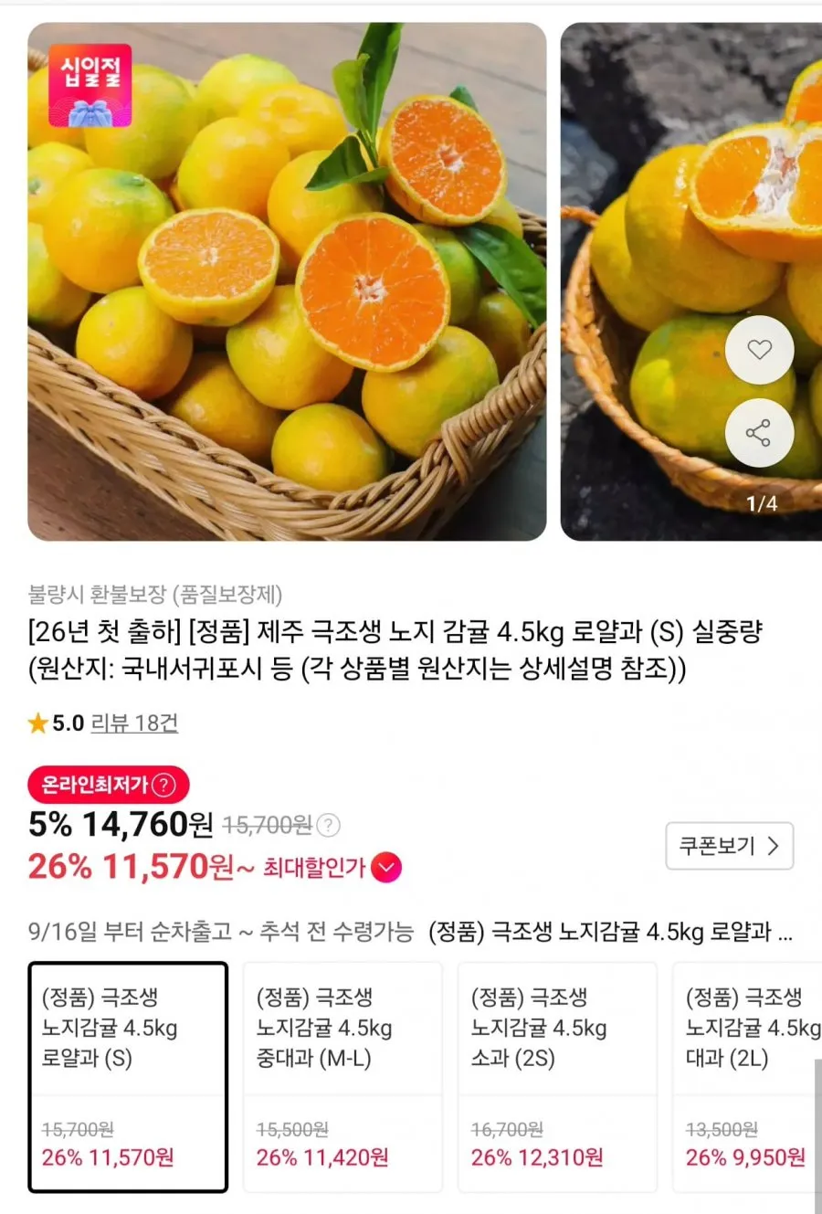 [100박스 한정] 제주 산지직송 초고당도 하우스 감귤 못난이, 1박스, 5kg