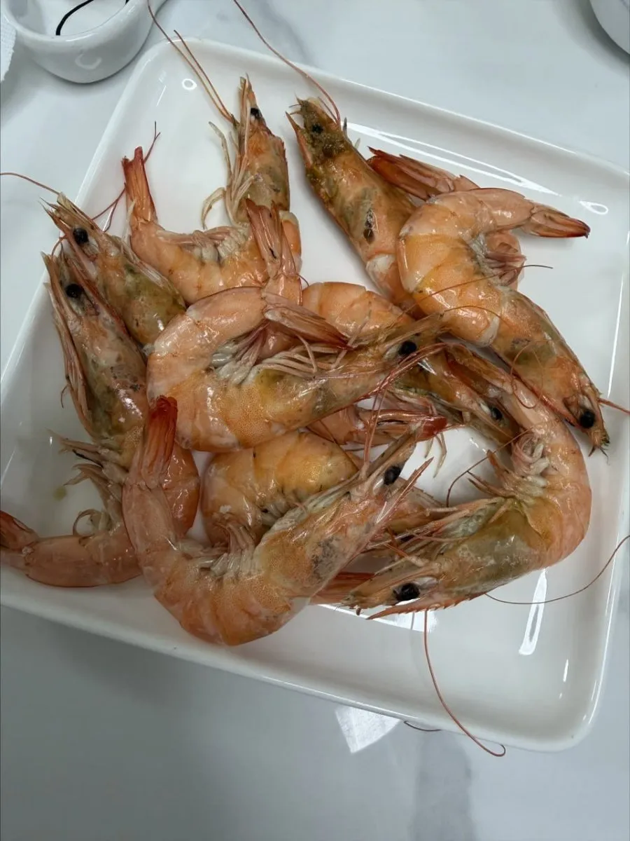 고흥 당일조업 활 흰다리새우 500g