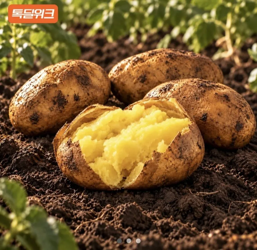 단독특가!! 골든에그 감자 햇감자 산지직송 포슬포슬 고구마 같은 달콤한 햇감자 중 특대, 1박스, 골든에그 감자(중) 3 kg