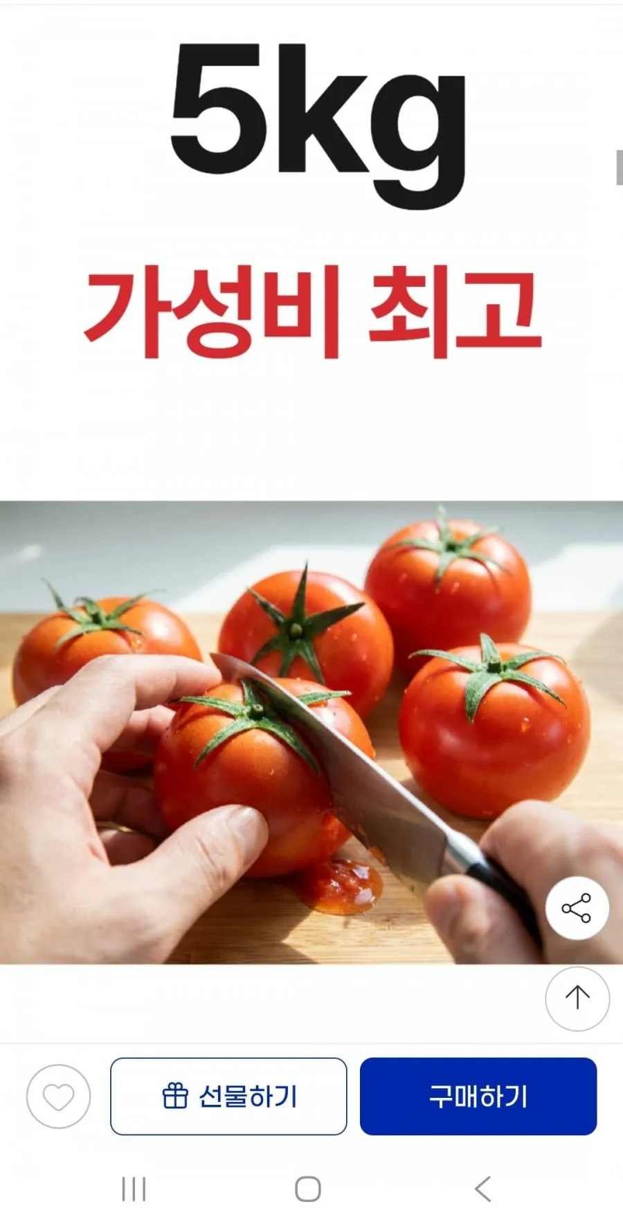산지직송 못난이 완숙 토마토 5kg