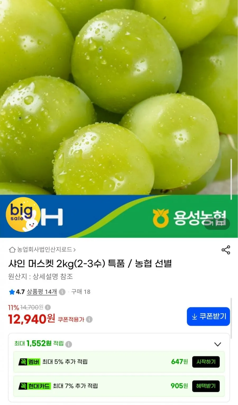 [선물포장무료] 농협특품선별 샤인머스캣 특대과