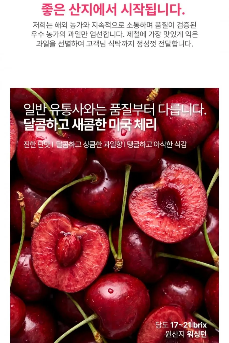 미국 워싱턴 직수입 고당도 생체리 1kg