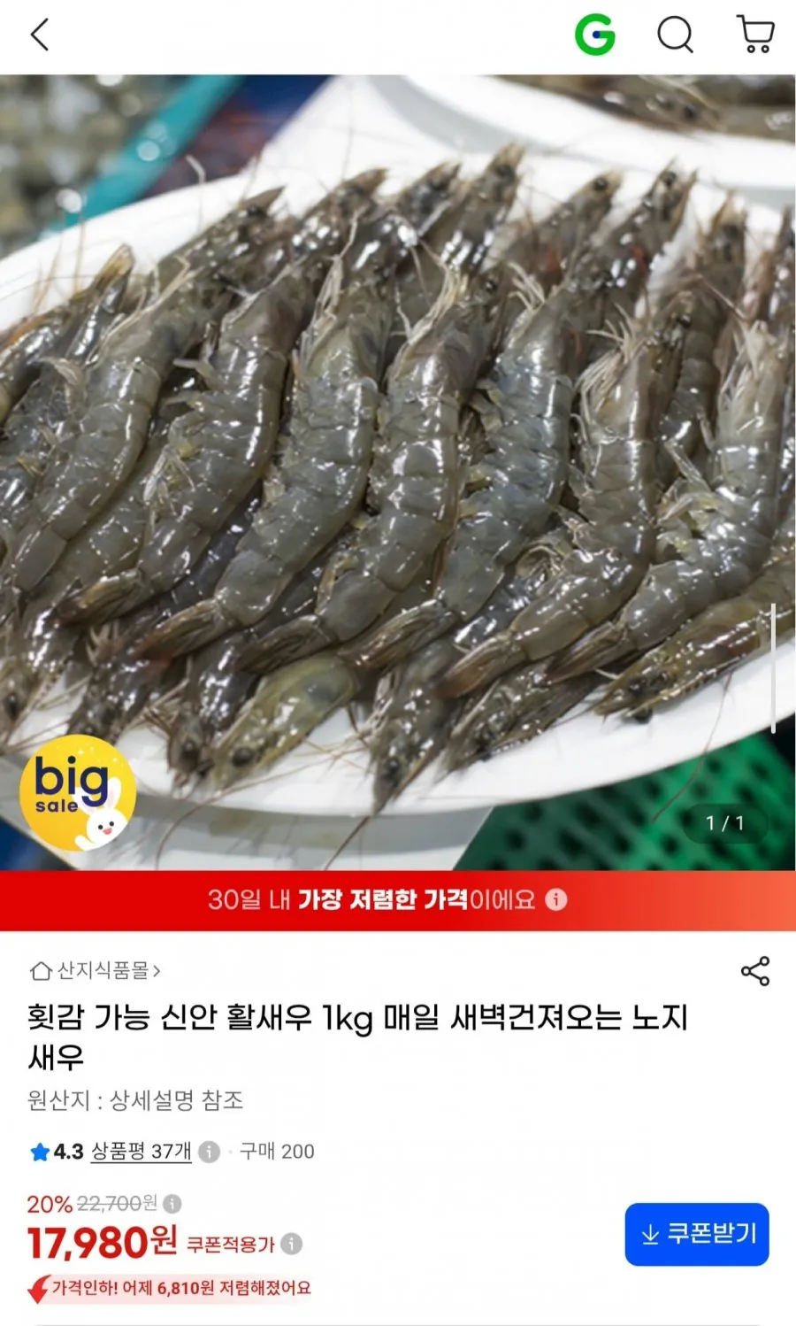 완도 당일 산지직송 활새우 횟감가능한 왕새우 대짜 대하소금구이 1kg 2kg 3kg