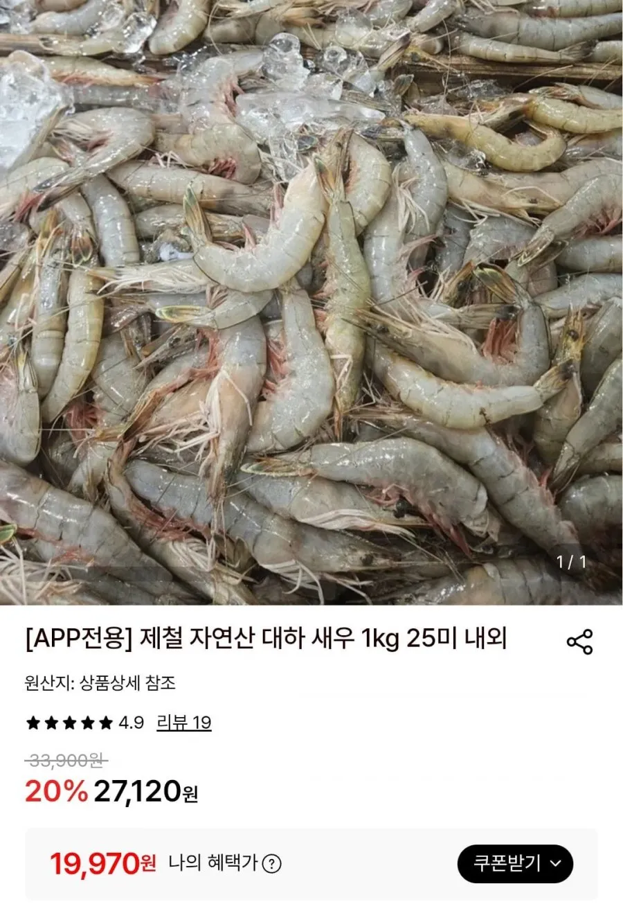 국내산 서해 자연산 대하 새우 1kg (kg당 25미내외/암수혼합)