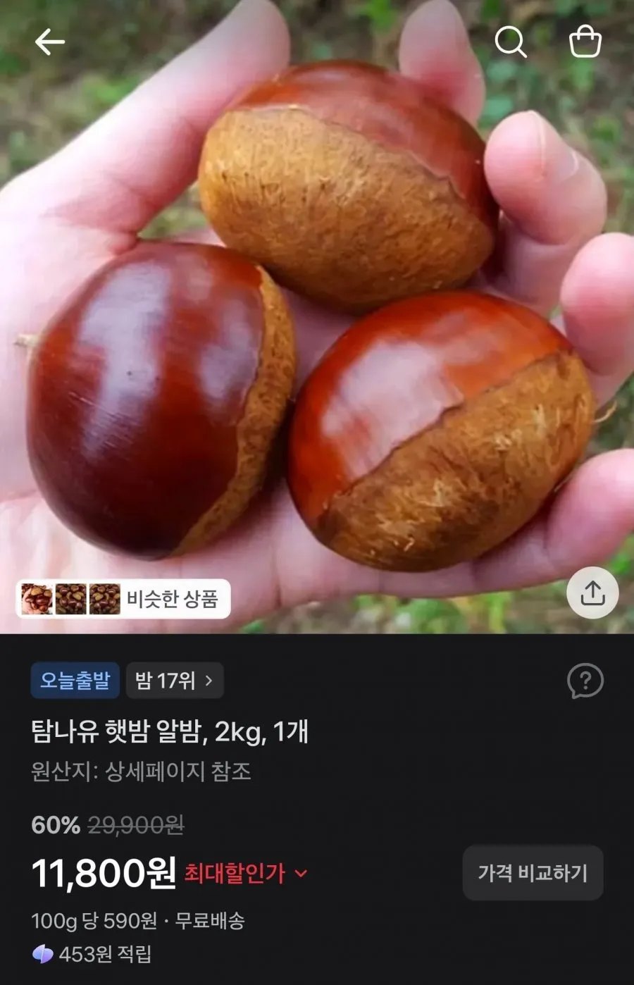 2026년 햇밤 청양 칠갑산 포르단 칼집밤 2kg