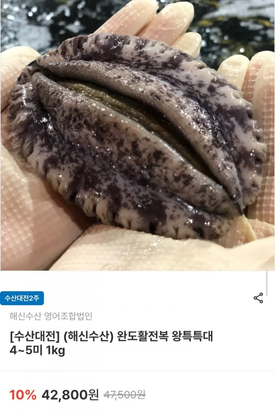 완도 활전복 왕특특대 4~5미 1kg