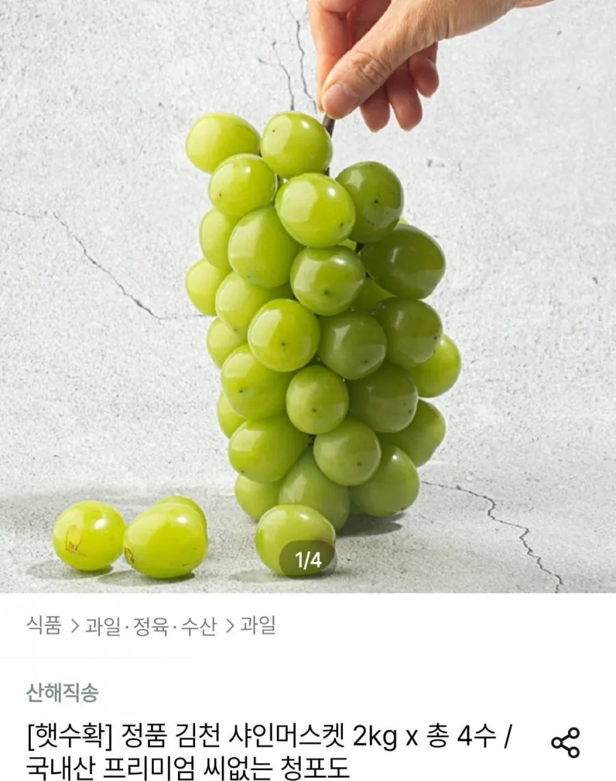 [100박스 한정] 제철 초고당도 샤인머스켓