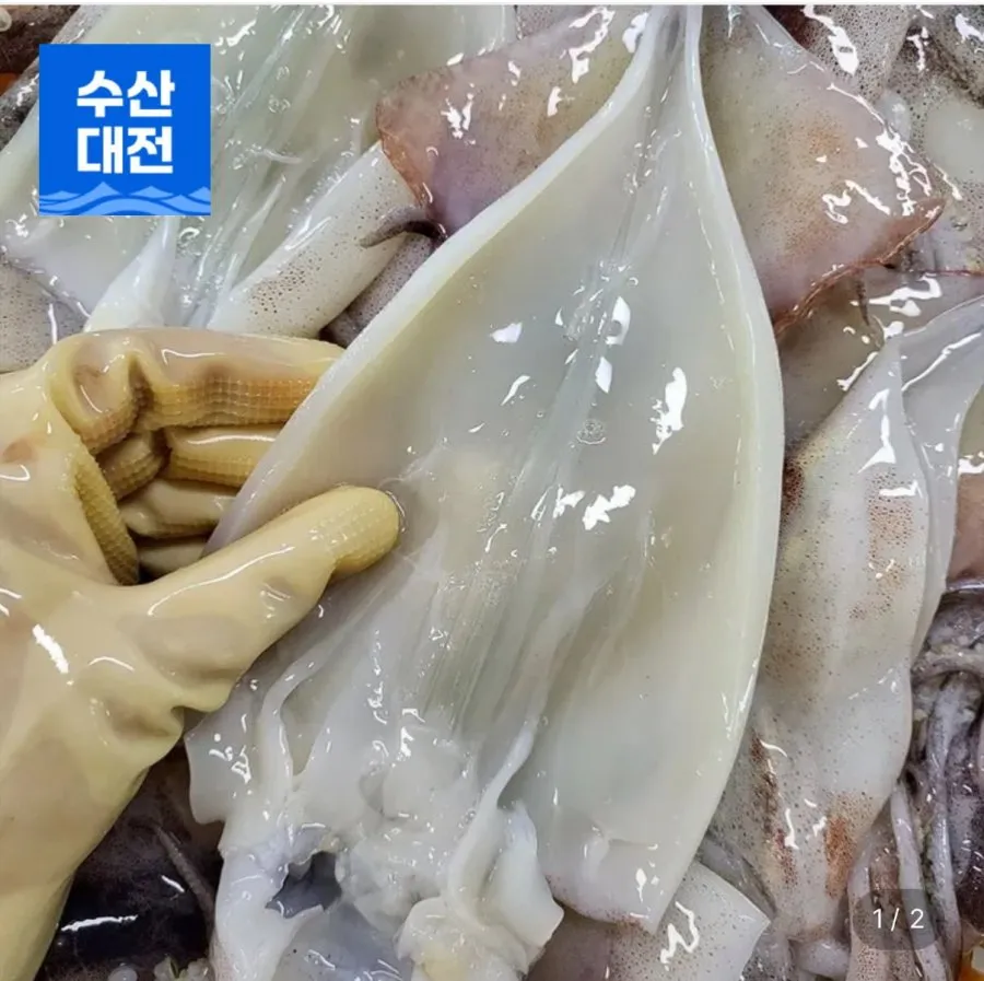 손질통오징어 10마리 220g 5팩