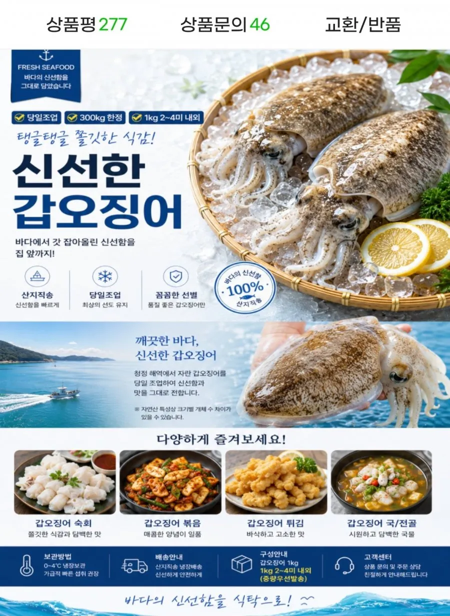 국내산 갑오징어 1kg 단 하루 특가 2~4미